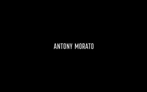 logo Antonio morato
