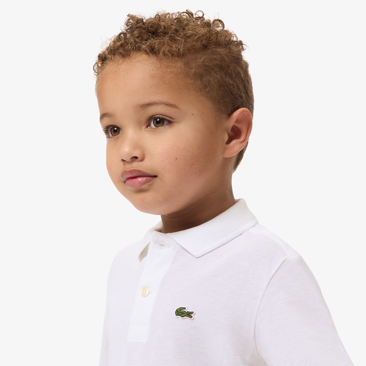 Polo - Image 5